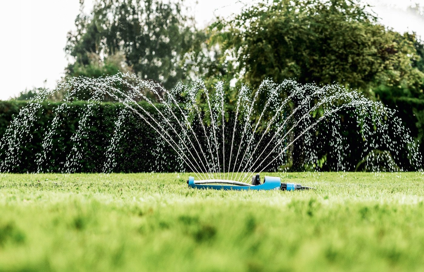 

Zraszacz Wahadłowy Swing Ideal Cellfast
