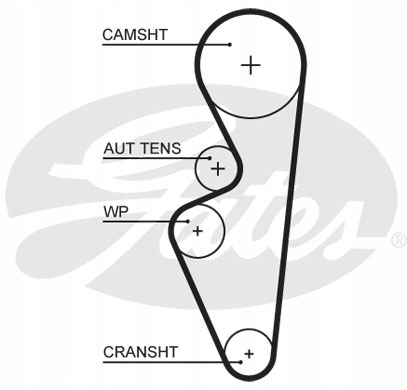 Pasek rozrządu GATES 5670XS Producent części Gates