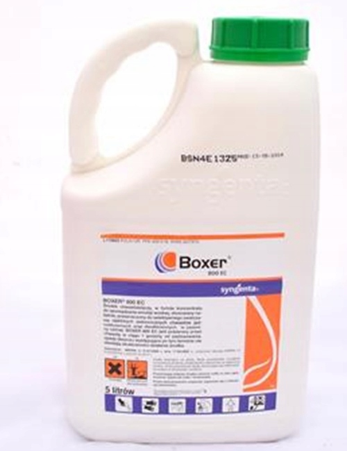 Boxer 800EC 5L herbicíd na metlu a dvojlístok