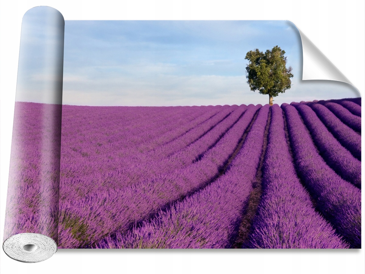 

Fototapeta Samoprzylepna Pole lawendy 104x70