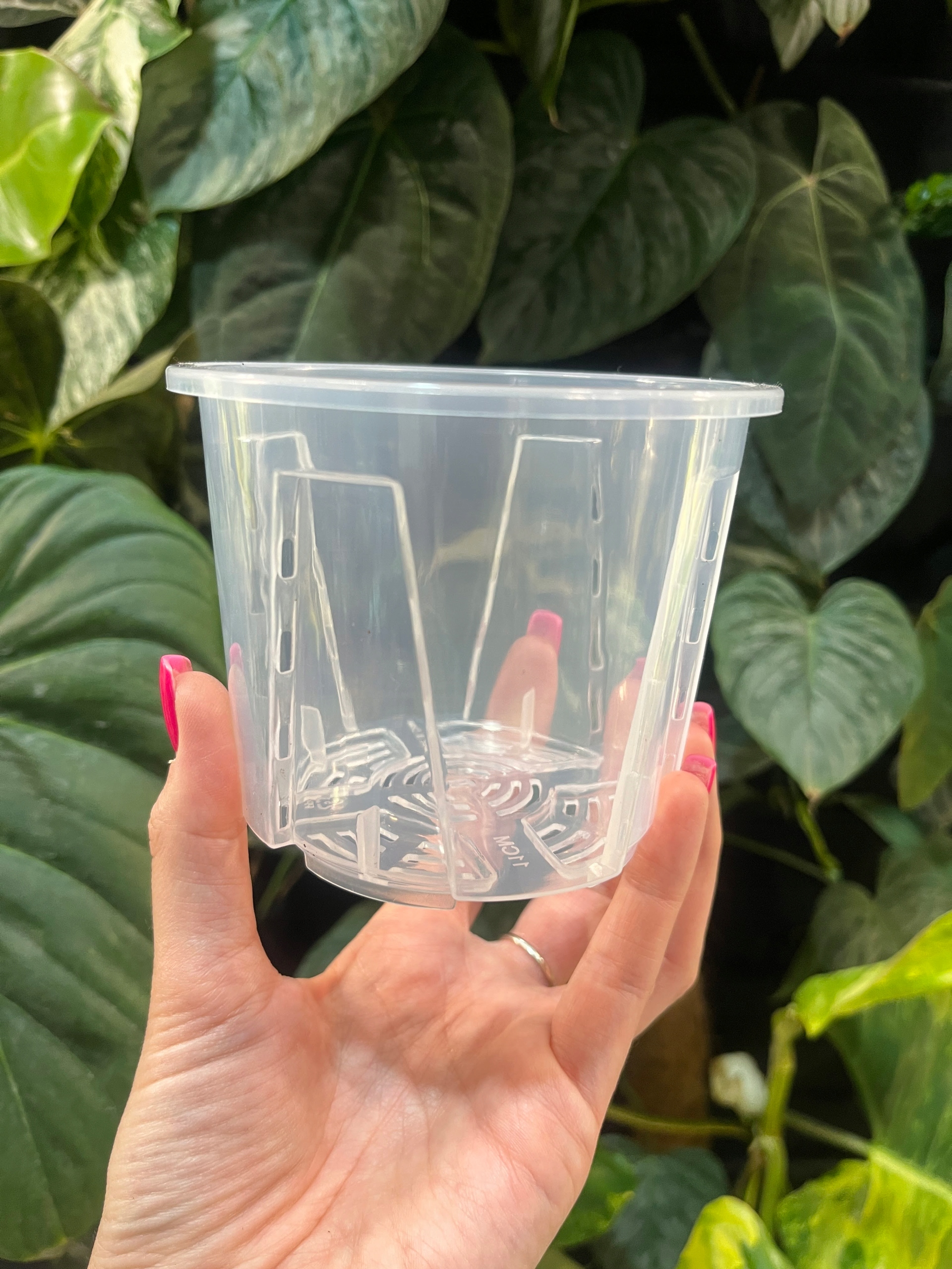 transparentna niska doniczka z perforacją 11cm