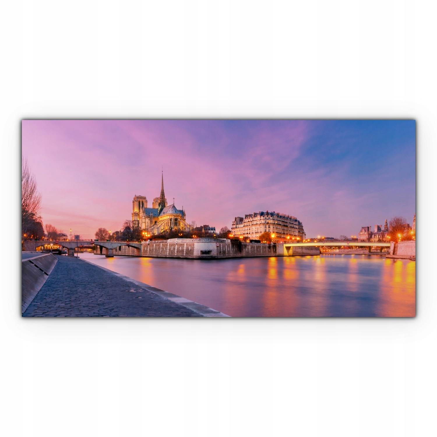 

Canvas płótno do sypialni 120x60 Paryż Notre Dame
