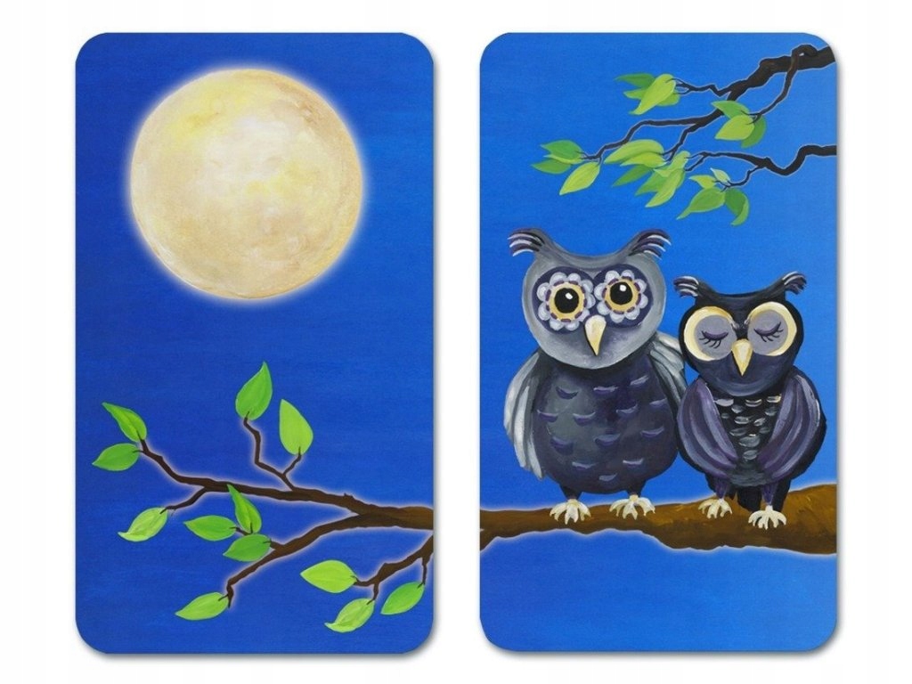 Sovy Ochranné skleněné desky na sporák 2 kusy, Wenko