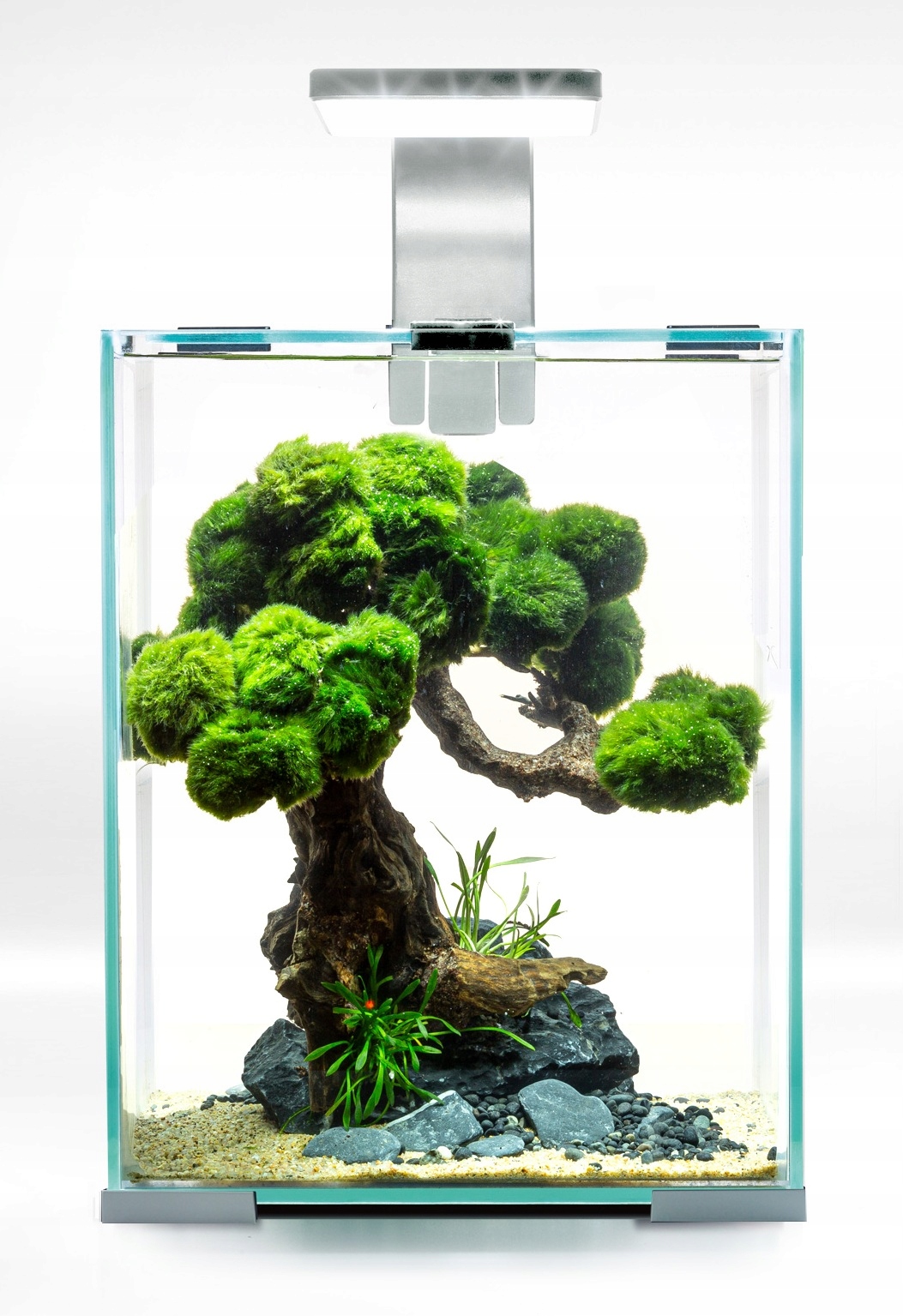 Sada Krevetárium Shrimp Set 20 D&n Bílá Aquael