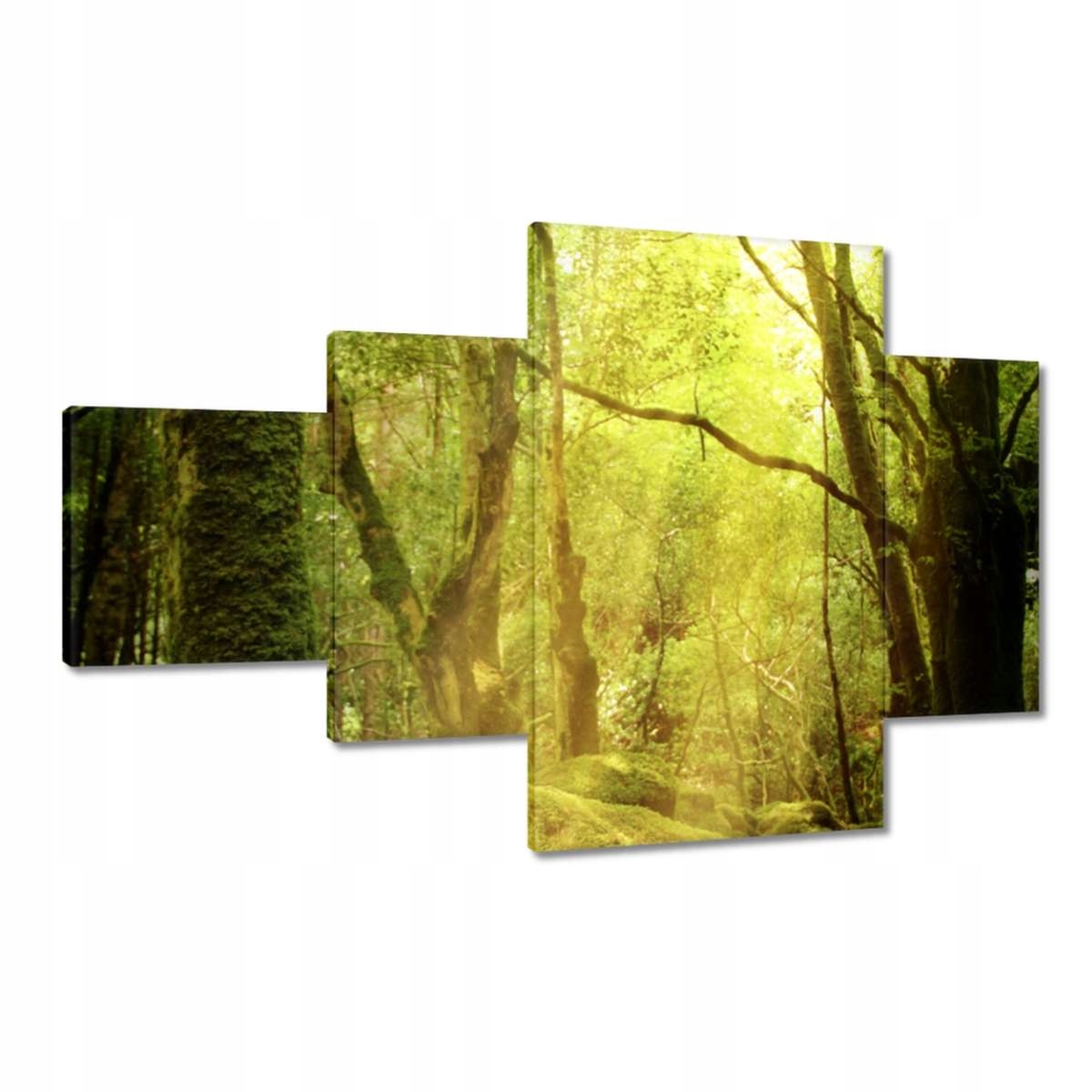 Obrazy 130x80 Kouzelný les Krajina