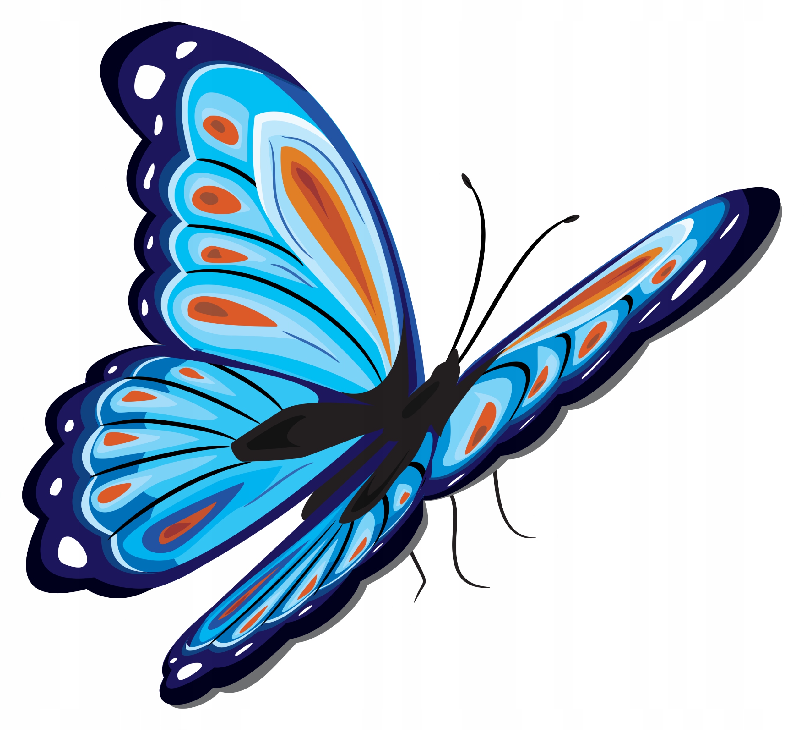 

Naklejka Na Okno Meble Lustro Motylek Motyl