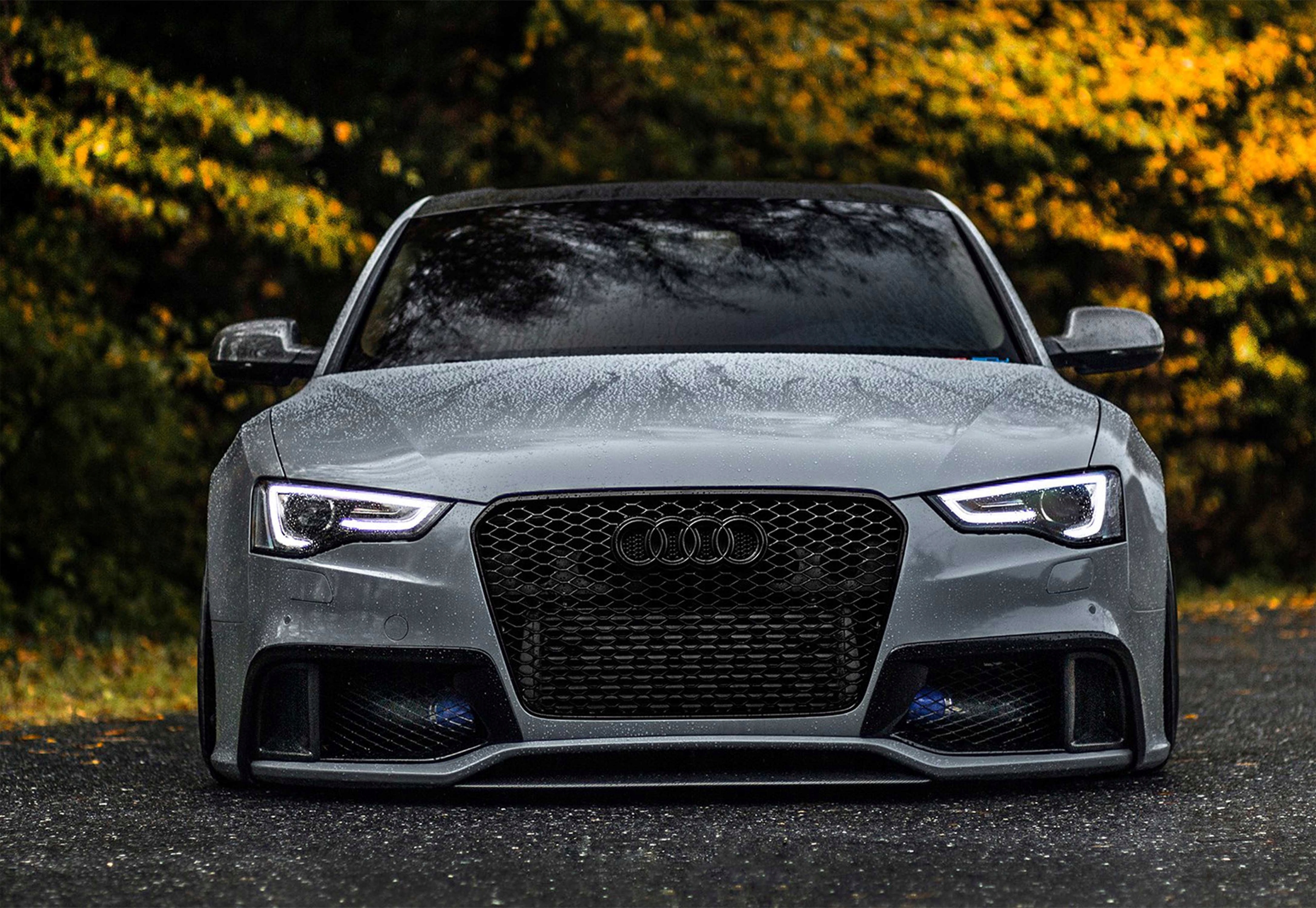 

Fototapeta Audi 09 368x254