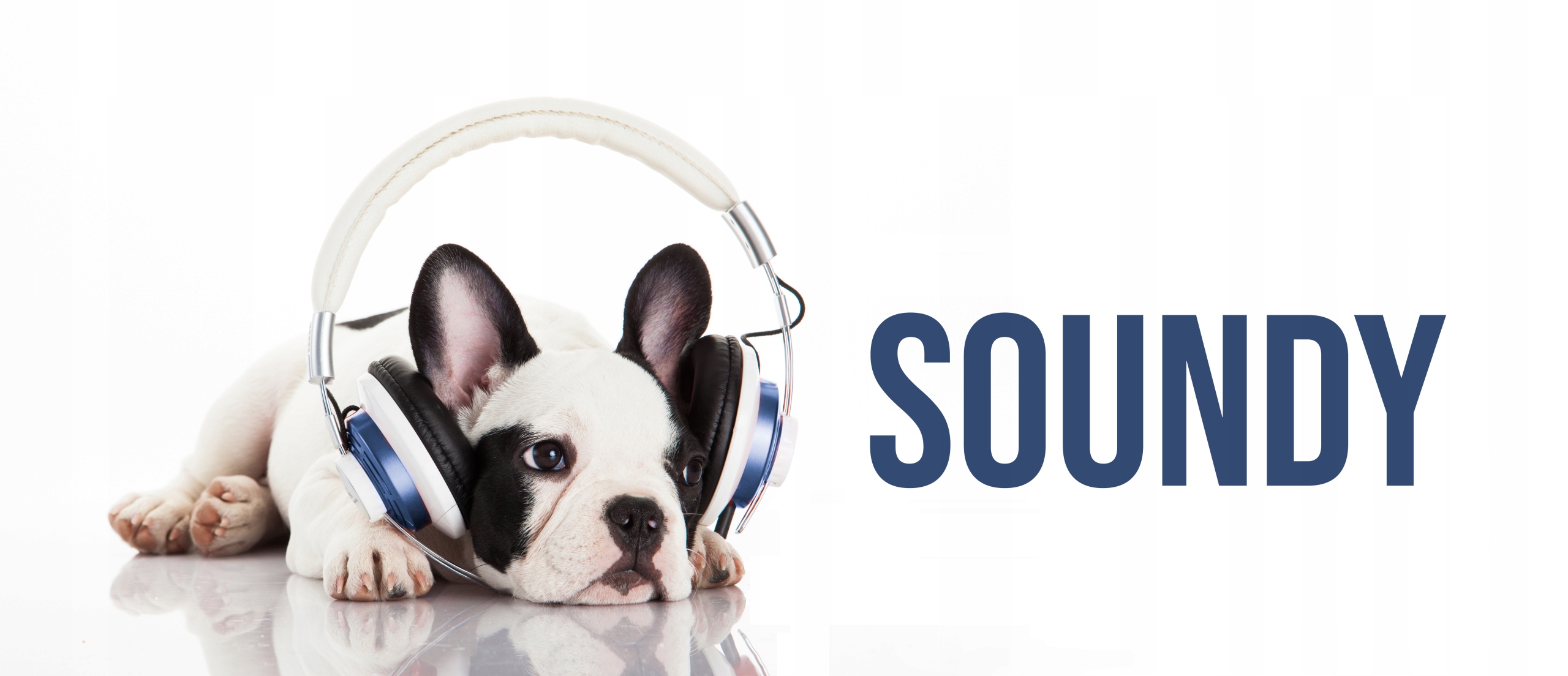 GRUBE GĄBKI GĄBECZKI NA SŁUCHAWKI LOGITECH H609 Marka Soundy