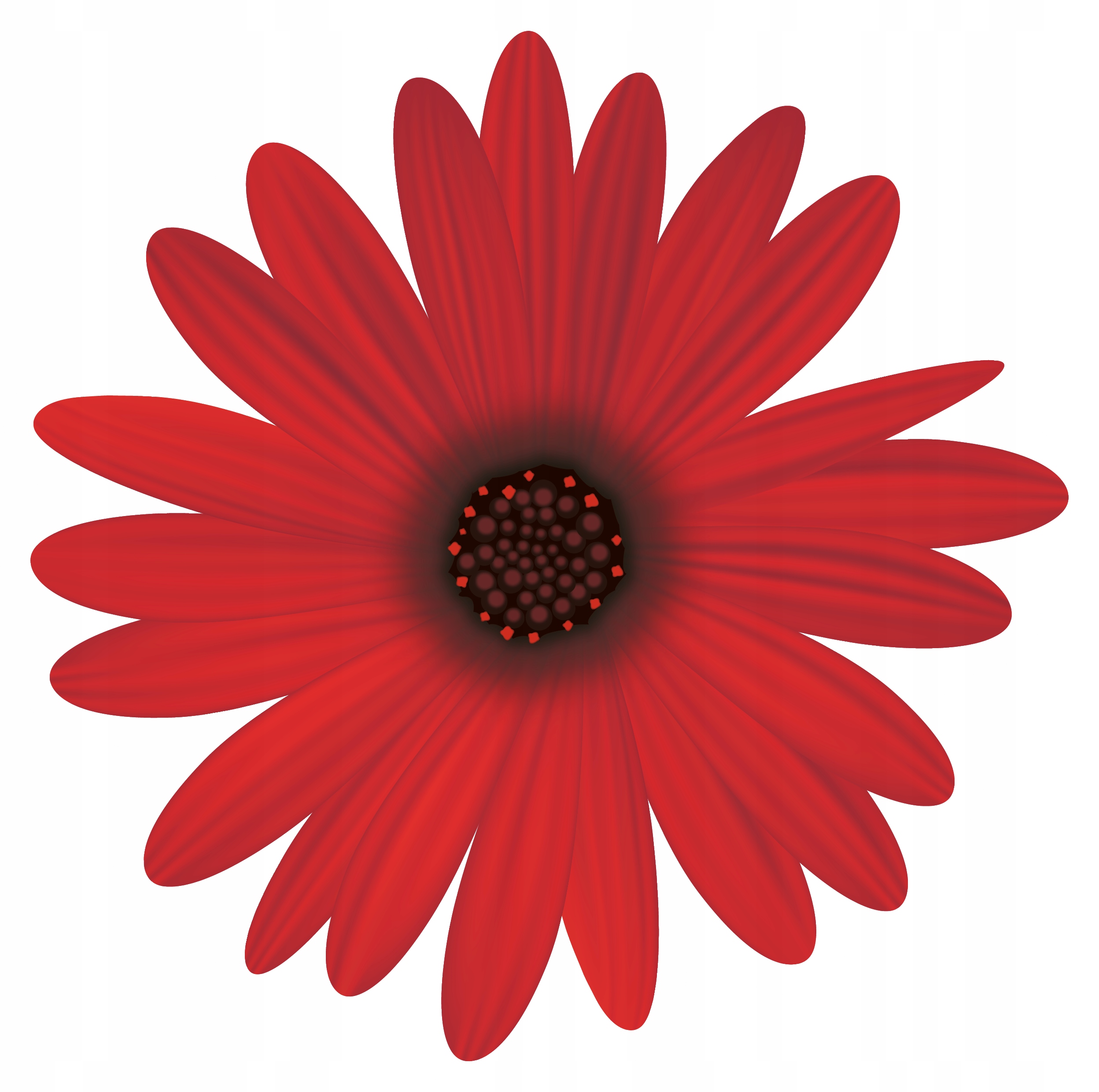 

Naklejka Na Okno Lustro Szybę Kwiatek Gerbera