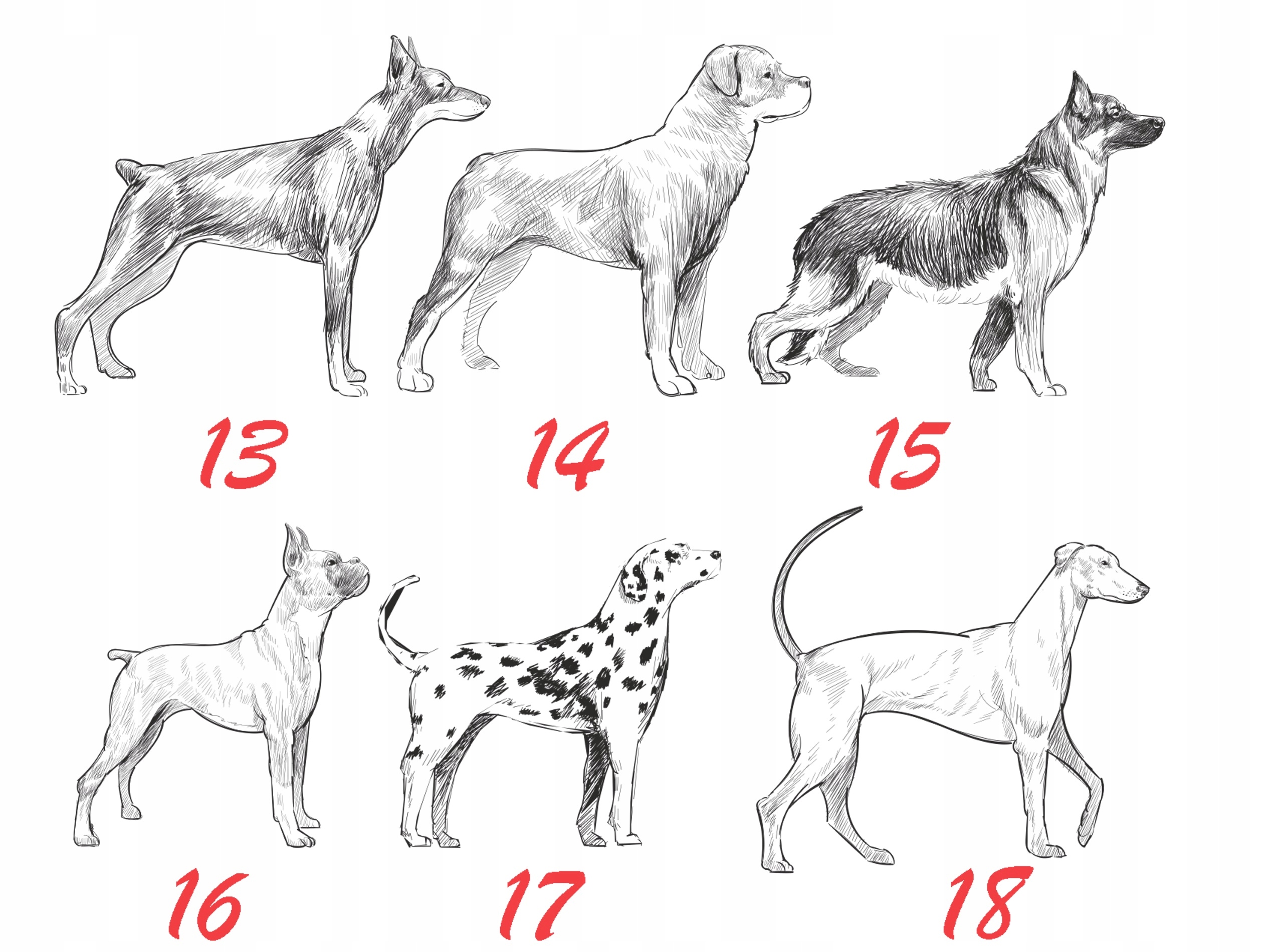 TABLICZKA UWAGA PIES OSTRZEGAWCZA 30X20 ALUMINIUM Wysokość produktu 20 cm