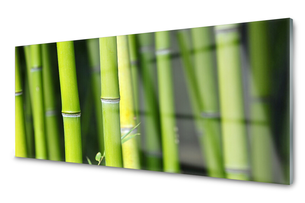 

Panel szklany do kuchni Bambus Roślina 125x50