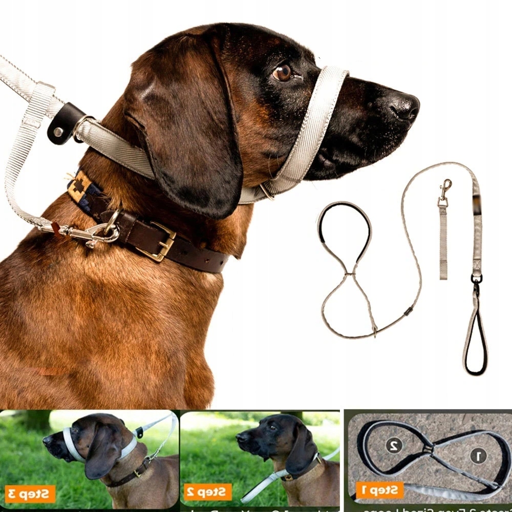 Vodítko pro psa proti tahání s měkkou podložkou 2 m