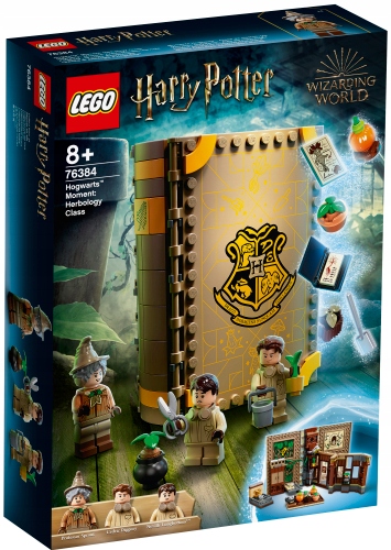 

Lego Harry Potter 76384 Chwile Z Hogwartu