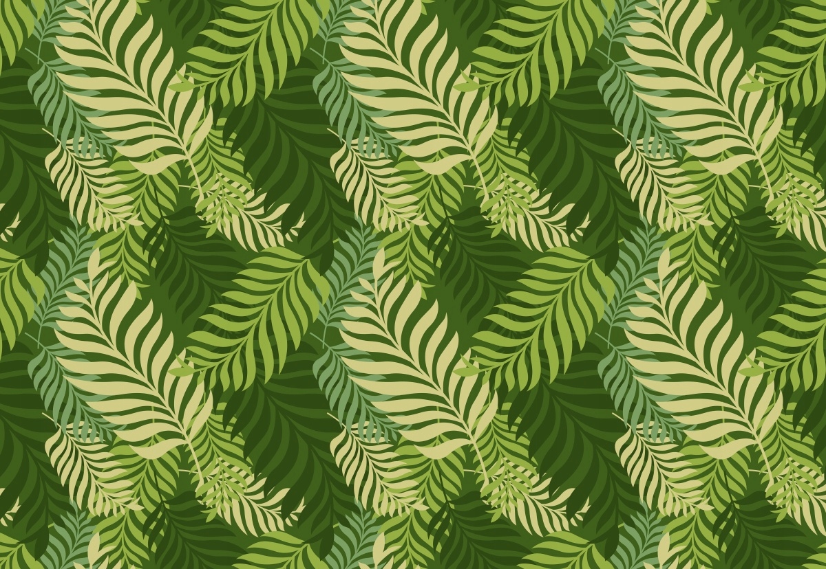 

Fototapeta Flizelina Liście palmowe 152x104