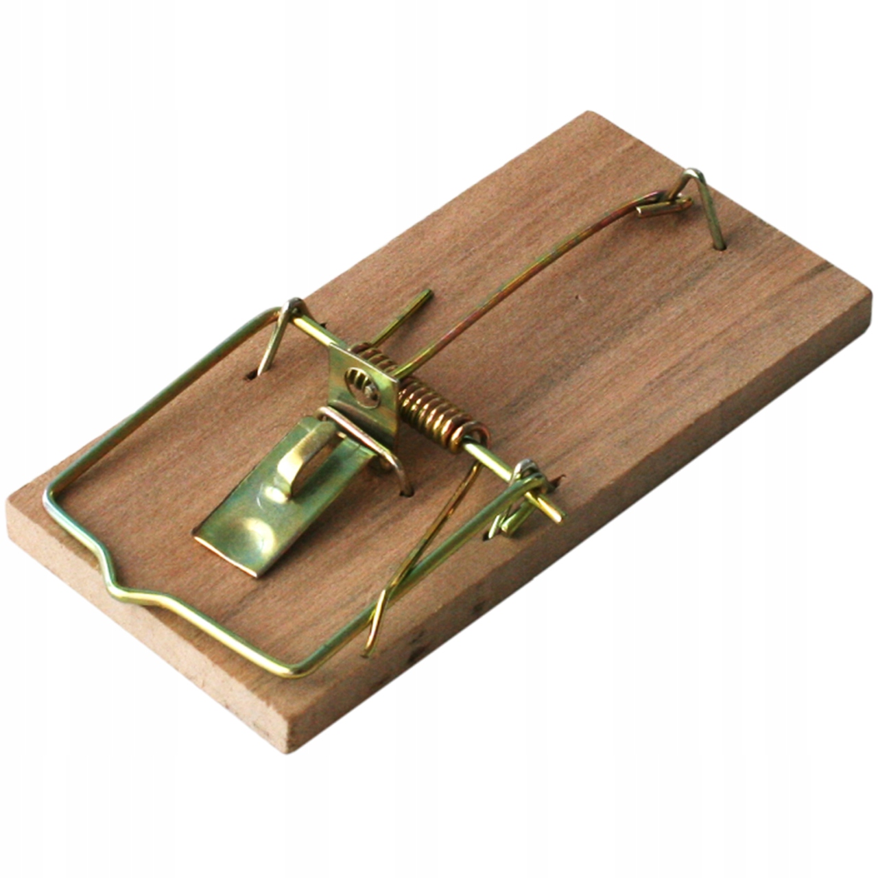 

Skuteczna i łatwa w obsłudze łapka na myszy, Bros