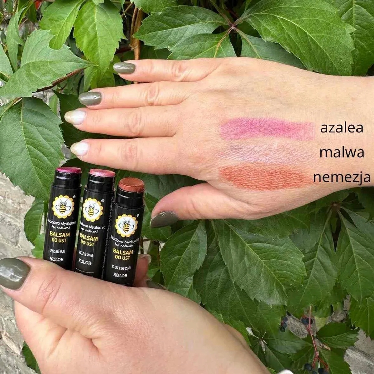 Balsam do ust Azalea