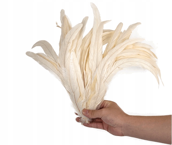 pióro KOGUTA wymiar ok 30 cm BIAŁE
