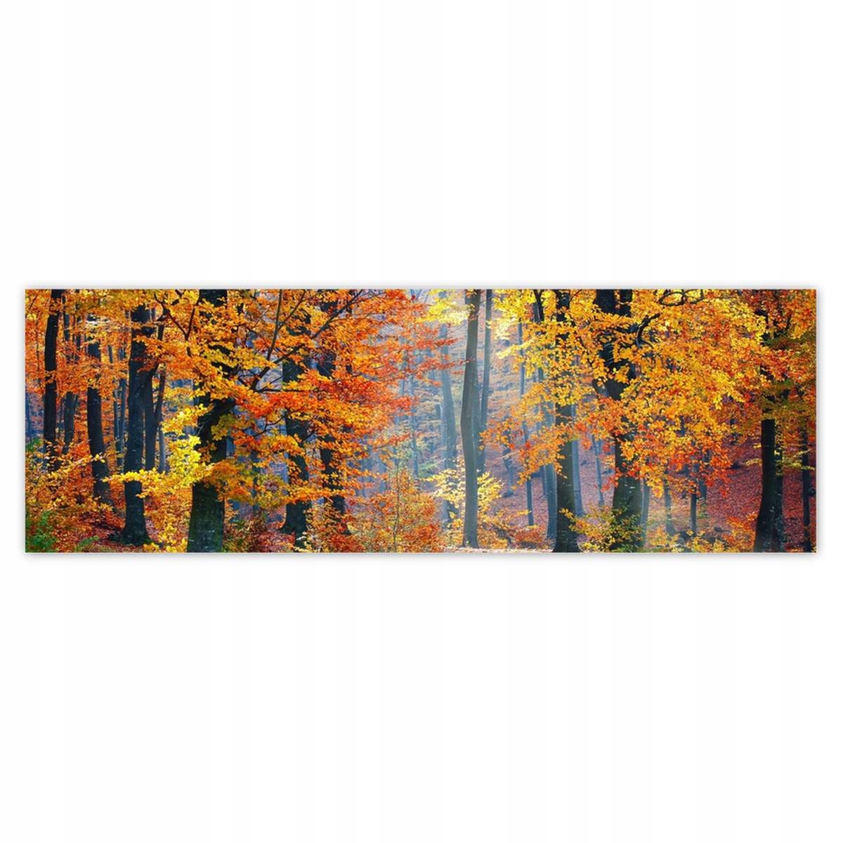 Fototapety 312x104 Zlatý podzim