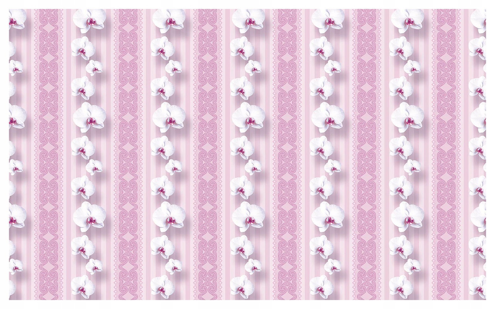 Fototapeta Orchideje růžové proužky vinylová 368x254 jemný design lepidlo