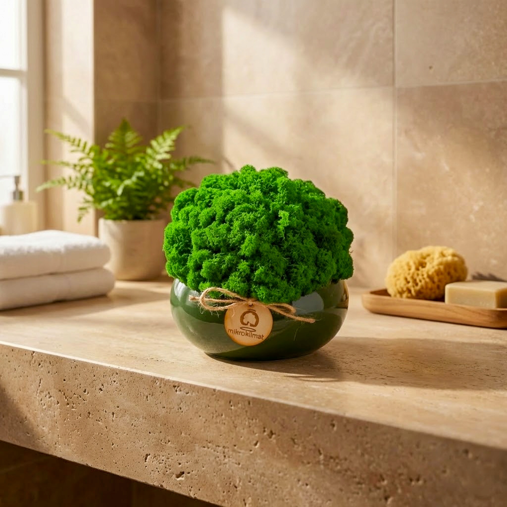 Mech chrobotek v květináči Dekorace do různých interiérů Pro každou příležitost