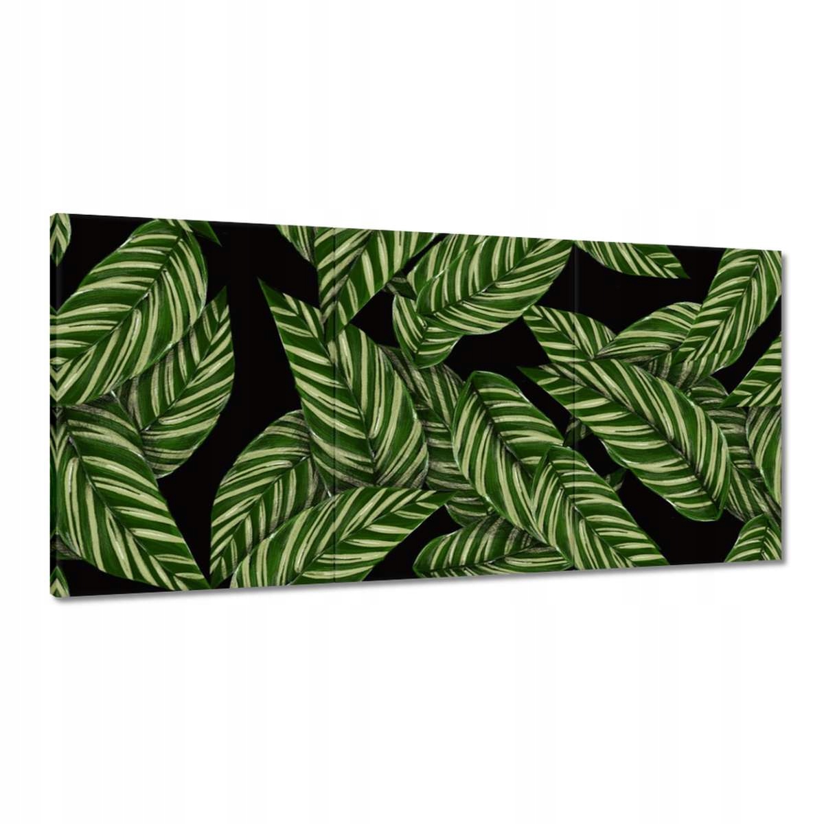 Obrazy 180x90 Zelené listy Tropiky