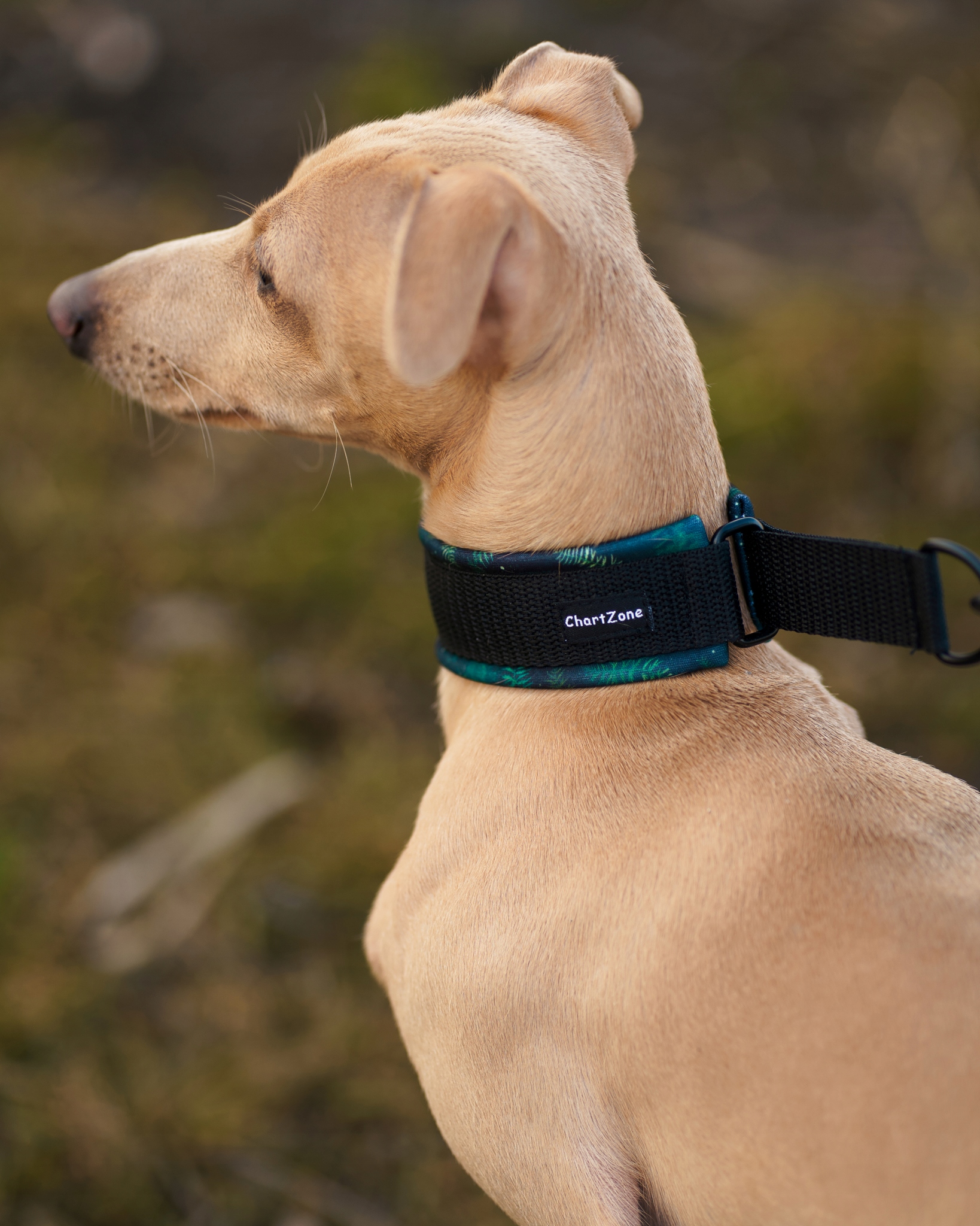 Levně Polostahovací obojek – softshell „Evergreen Forest“ 4 cm