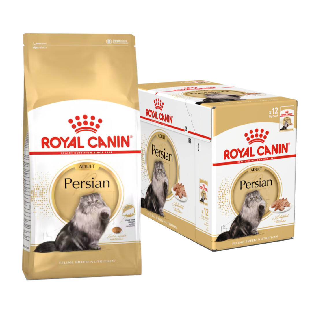 Levně Royal Canin Persian Adult 10kg+12x85g Krmivo pro dospělé kočky