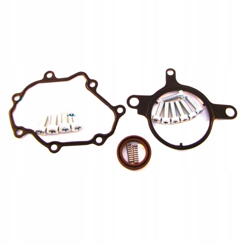 DRM048 - ZEST NAPR вакуумный насос для VW PHAETON 5.0 V10