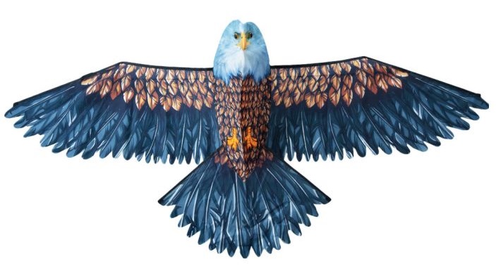 Odolný Velký Realistický Drak Orel XXL 186 CM Pro Děti