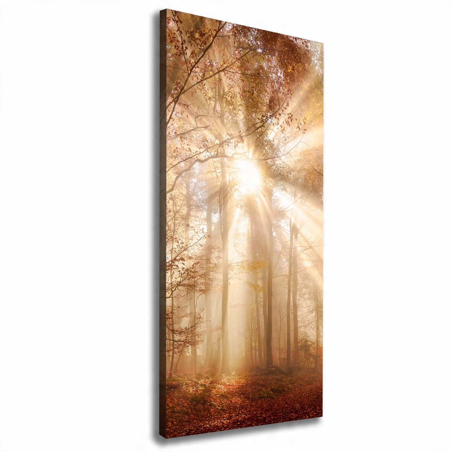 

Foto obraz canvas do salonu Las jesienią 50x125
