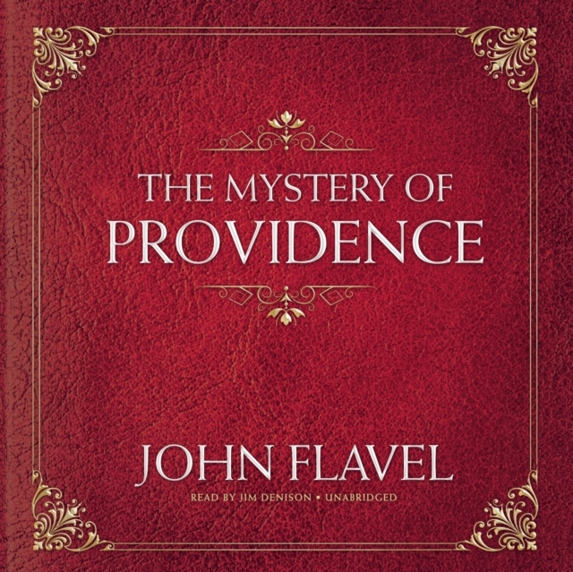 Аудиокниги рецензии. The Mysteries of Providence. Я Провиденс обложка. Audiobook.