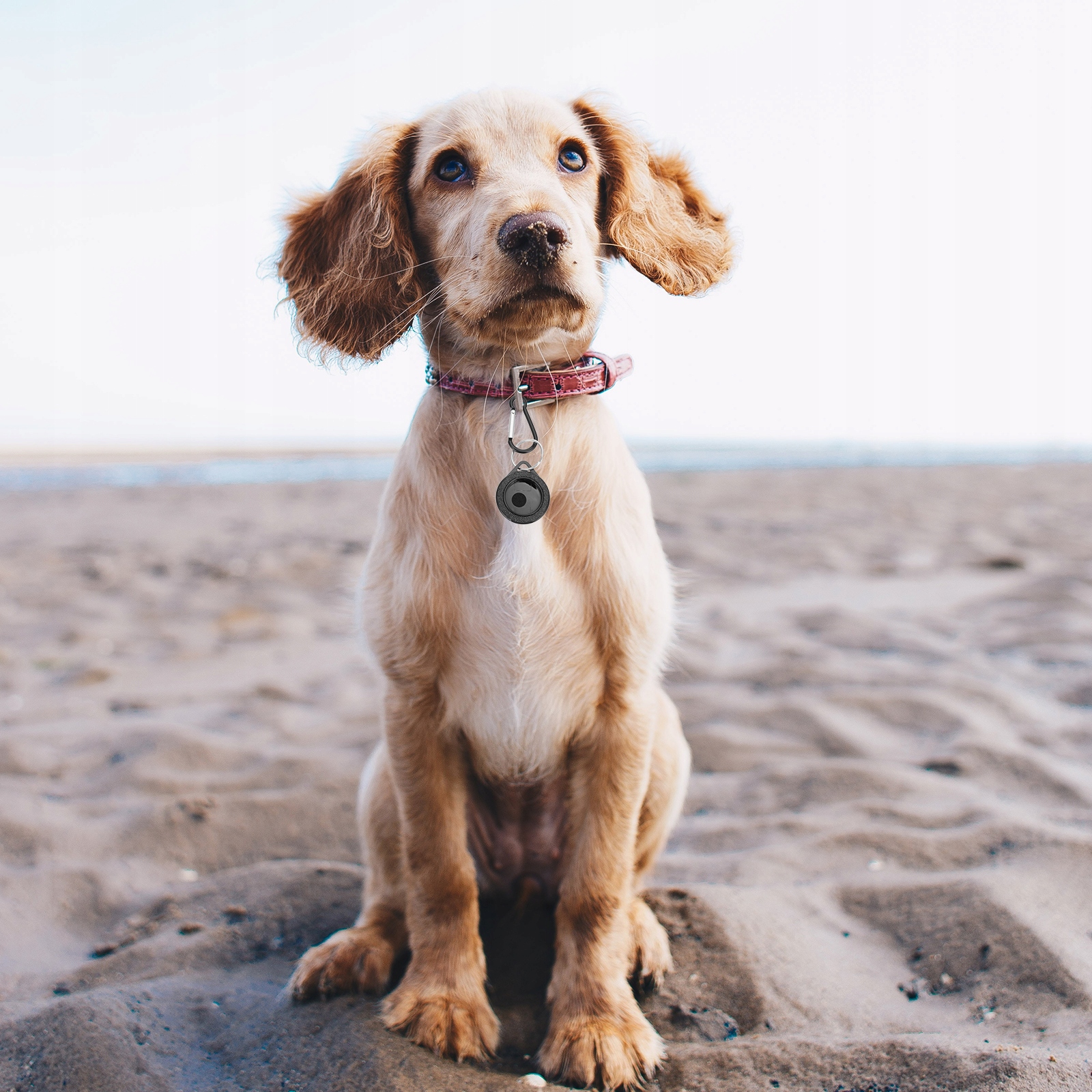 Tracer osłony kłaczków Model 5617229059087186904