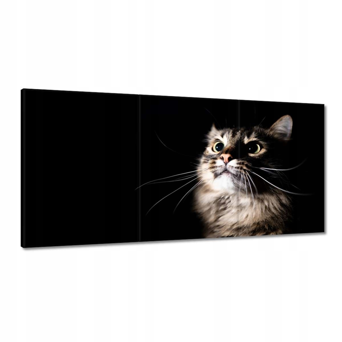 Obrazy 180x90 Portrét roztomilého mačiatka