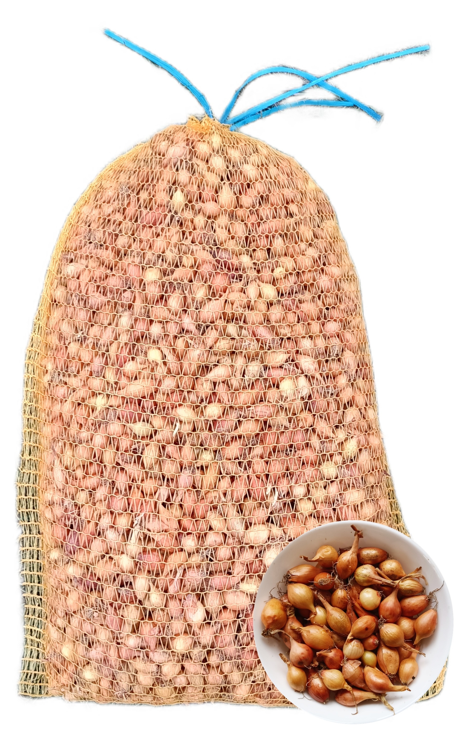 Cibule Sazečka Žlutá Wolska 5KG 10-15 mm