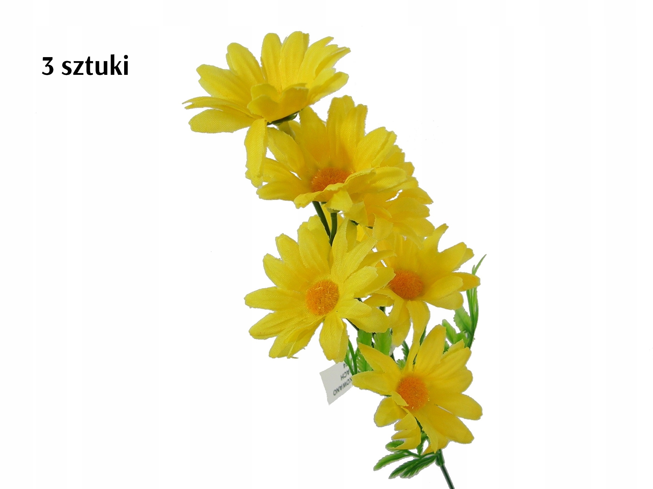 

A Margaretka Margaretki Żółta Gałązka 3 Sztuki