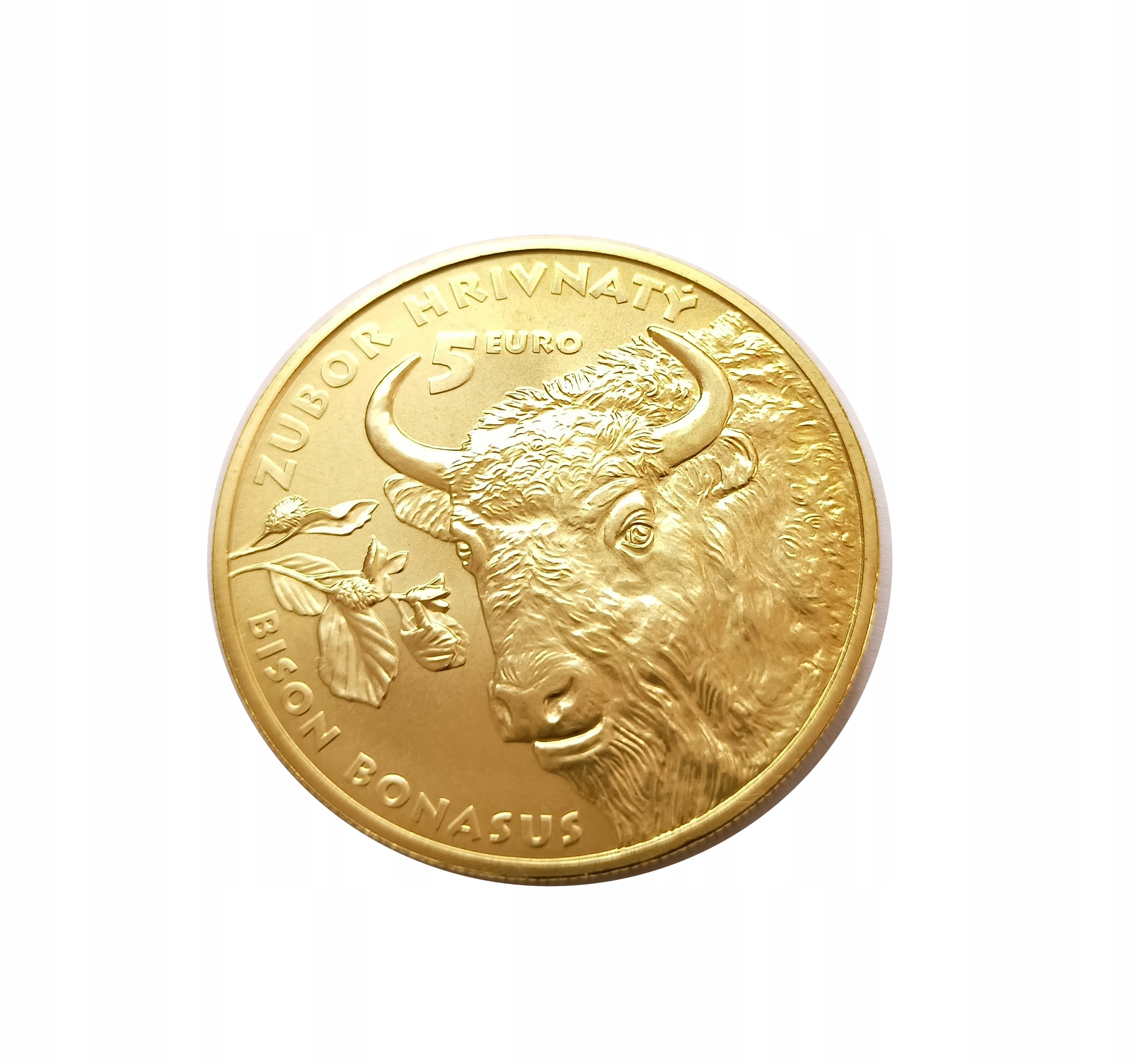 Słowacja 5 euro 2024 Żubr UNC