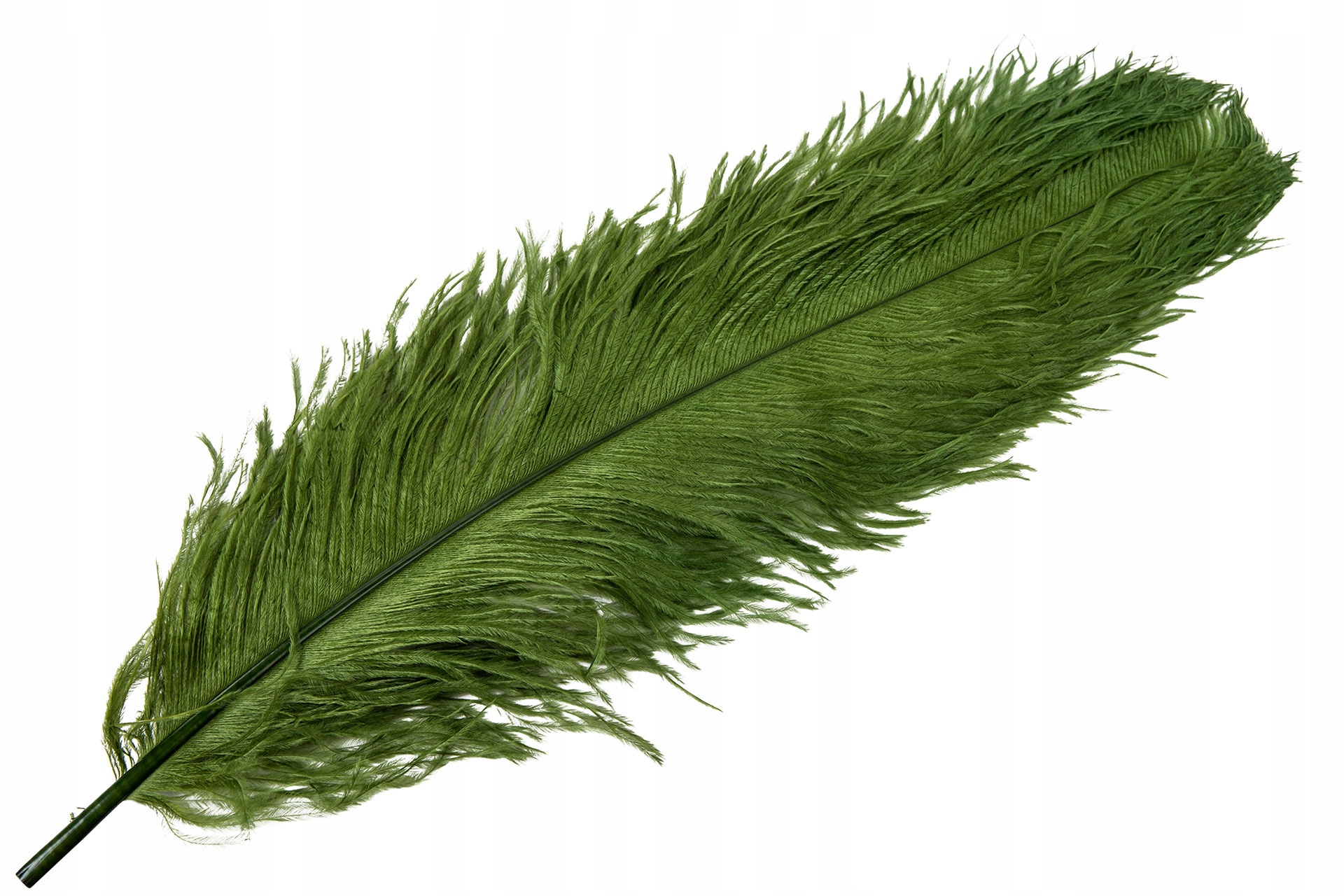 Pštrosí Pero na vázy, ladičky Zeleň 60cm