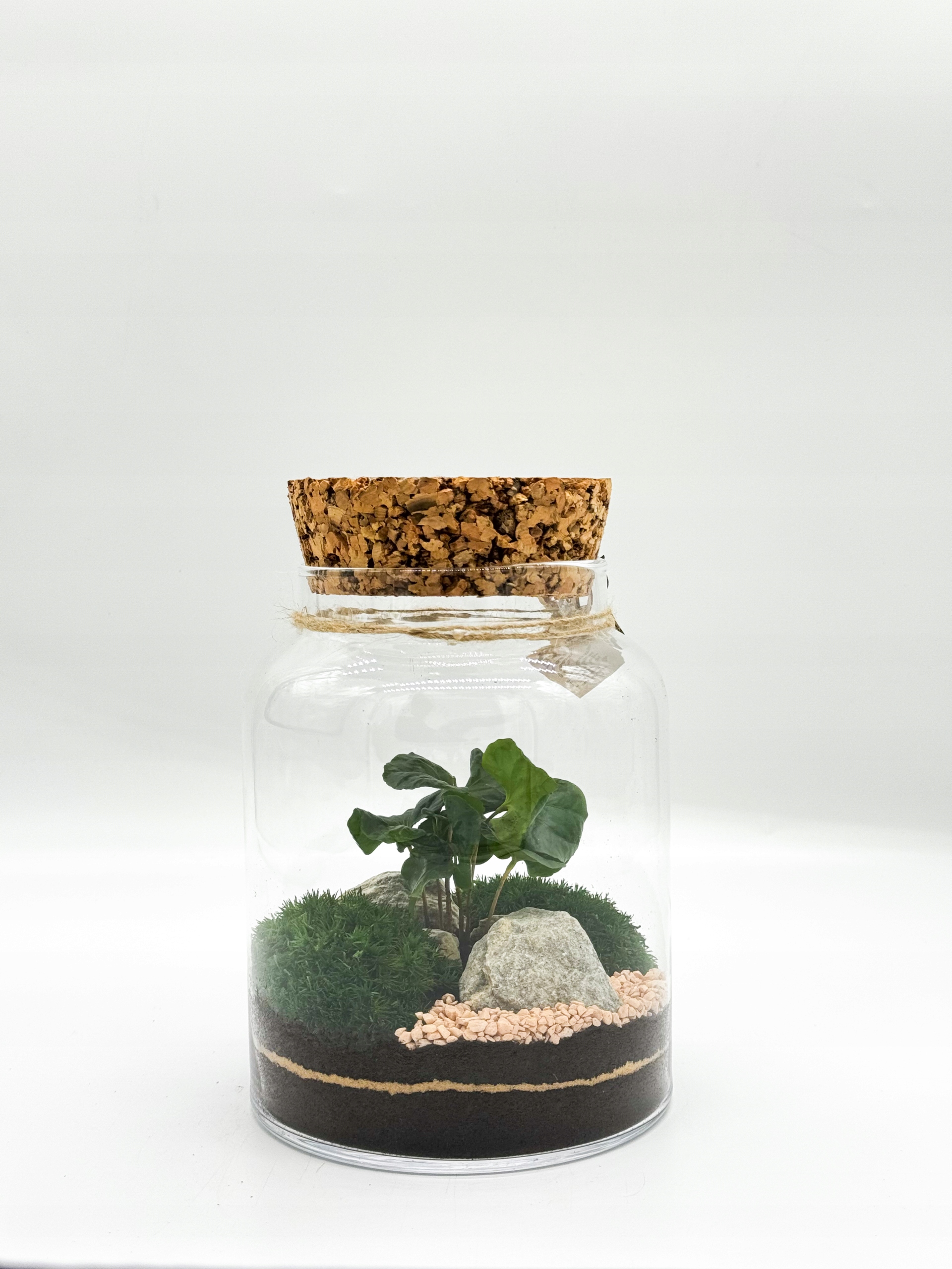 Les ve skle 21 cm – hotová kompozice s kávou arabica, mechem a korkem