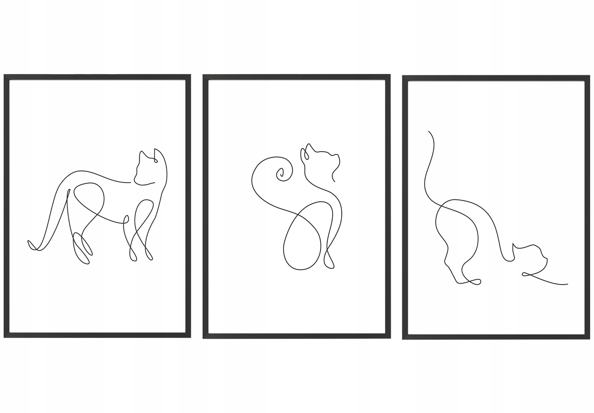 Zestaw 3 grafik, plakatów 40x50 cm Kot