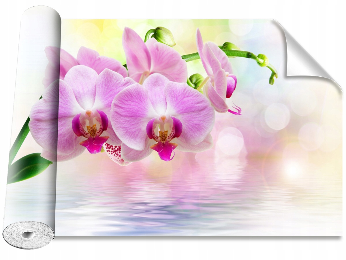 

Tapeta Samoprzylepna Orchidea Róż 152x104