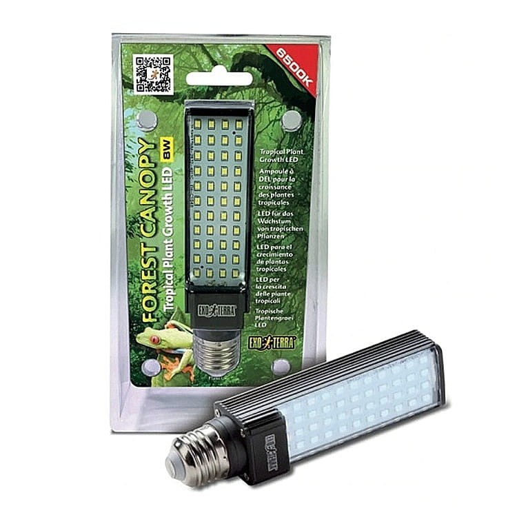 Levně Žárovka Forest Canopy Led, 6500K, 8W