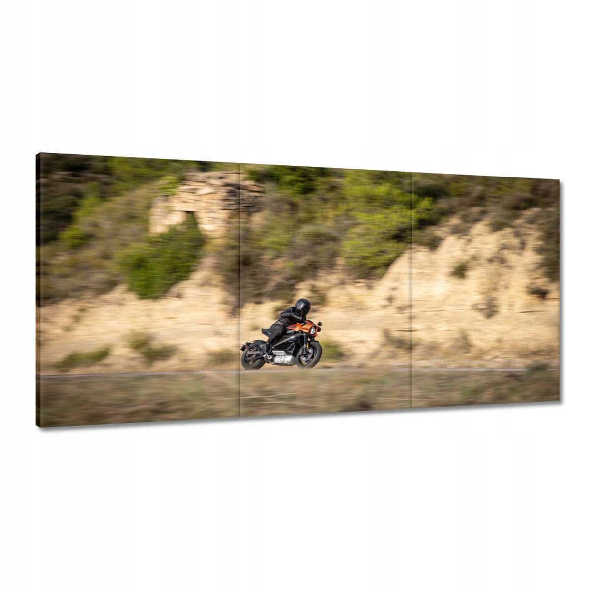 Obrazy 180x90 Harley Davidson Motocykel