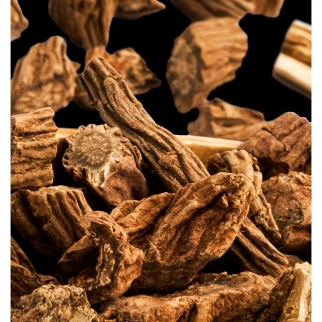 Yodeyma Oude Woda Perfumowana Dla Kobiet 100ml Marka Yodeyma