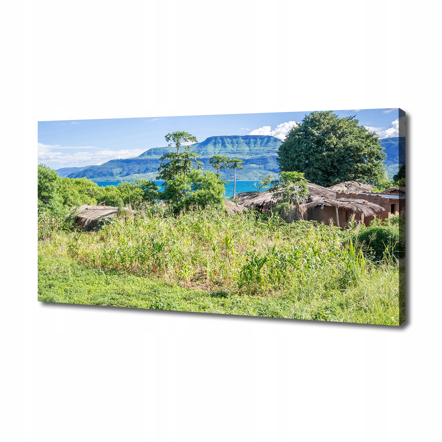 

Foto obraz na płótnie Jezioro Malawi 140x70 cm
