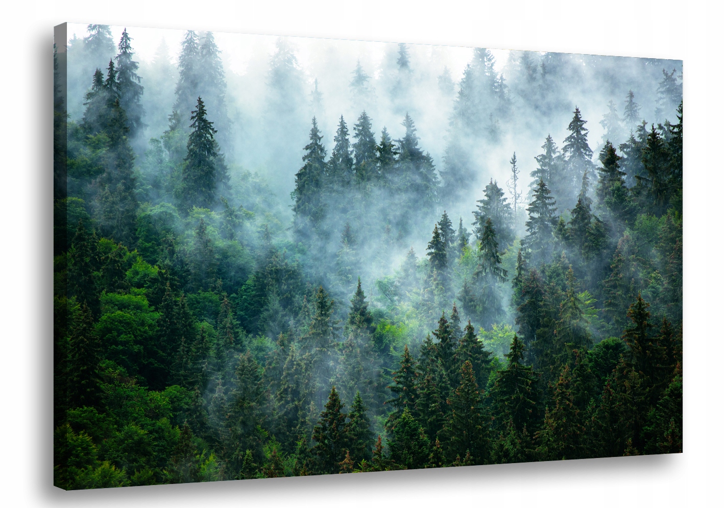 

Obraz na płótnie Las Drzewa Mgła 75A-150x100cm