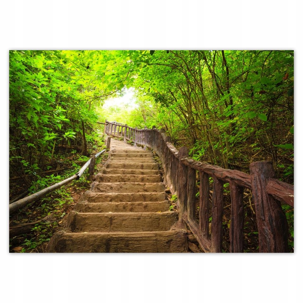 

Naklejki 70x50 Schody do lasu