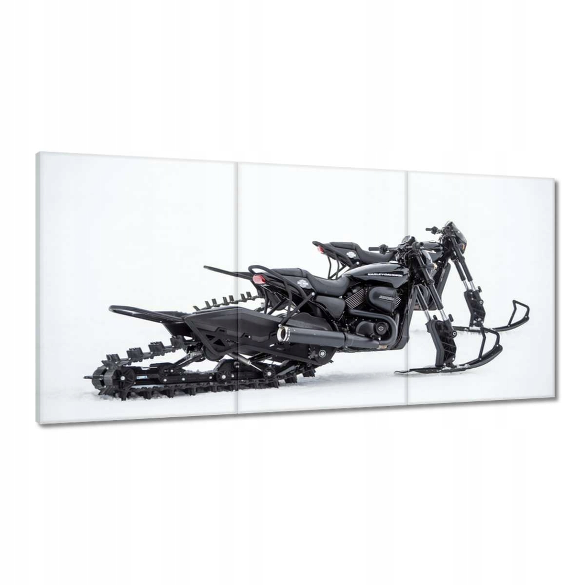 Obrazy 180x90 Harley Davidson Motocykel