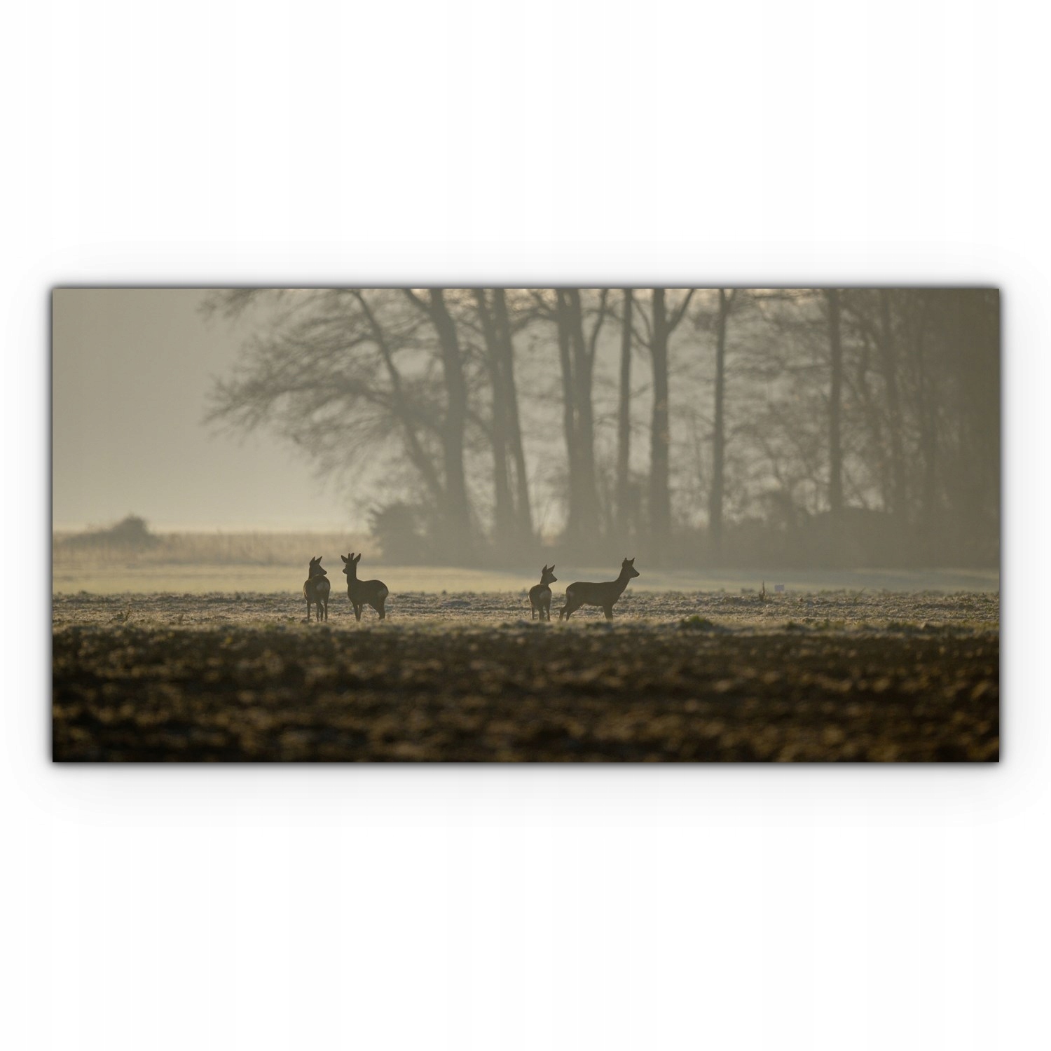 

Obraz na płótnie do salonu 100x50 Jeleń Mgła Pole