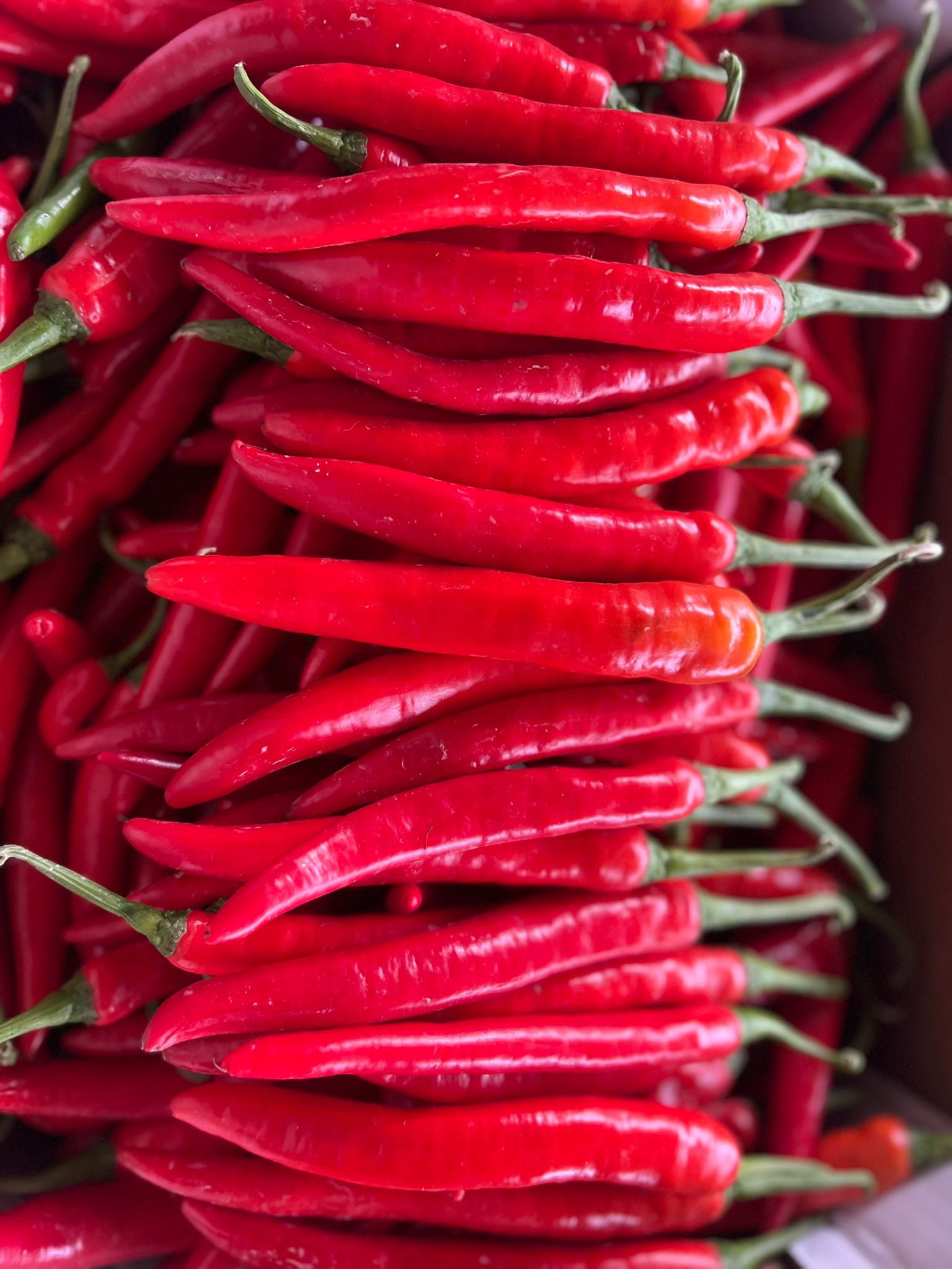Papričky Chilli červené 1 kg