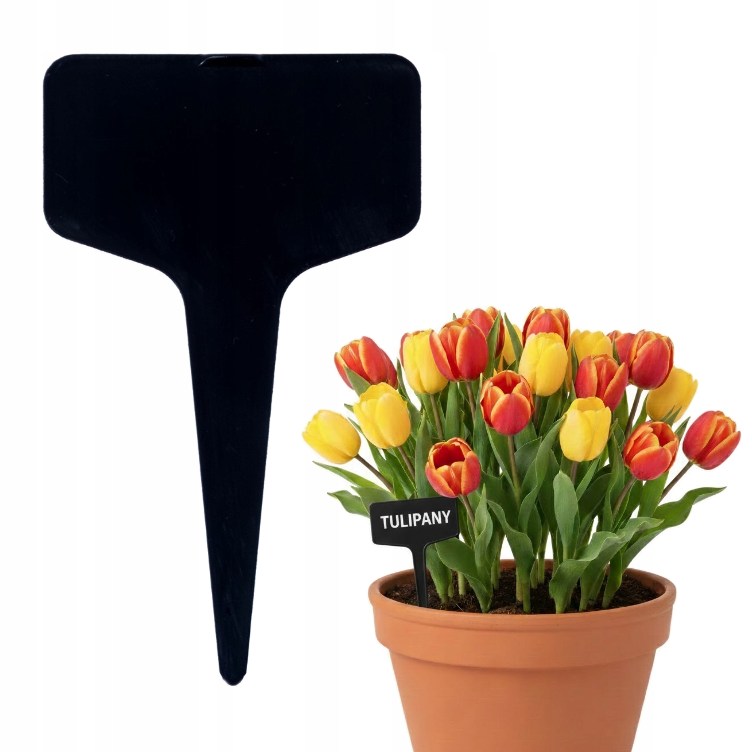 Tabliczki do opisu roślin 6x3 cm Do Rozsady Opisu KWIATÓW WARZYW Czarna